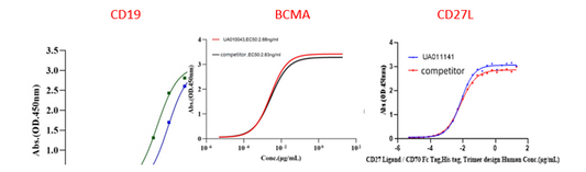 CAR-T Therapy’s Indispensable Allies: High-Performance Target Proteins by ANT BIO PTE. LTD.