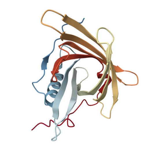 RBP4: A Versatile Biomarker for Disease Diagnosis and ANT BIO PTE. LTD.'s Antibody Solutions