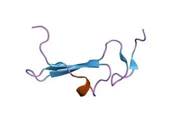Recombinant Human β-Cellulin (BTC): Unlocking Insights into Hepatocellular Carcinoma Invasion and Metastasis – Backed by ANT BIO PTE. LTD.