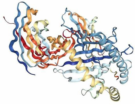 β2-Microglobulin (B2M): Functional Roles and Clinical Significance as a Pivotal Biomarker – Supported by ANT BIO PTE. LTD.