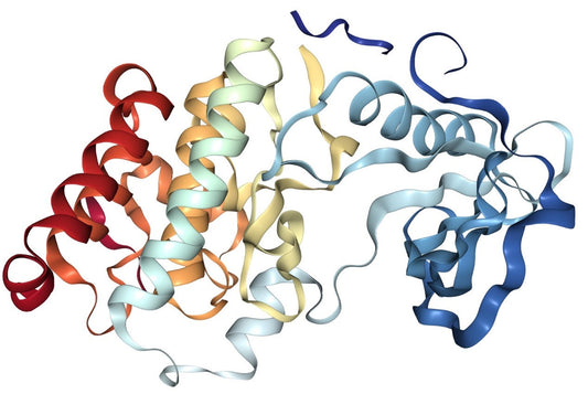 EphA3 Receptor: Multidimensional Regulatory Mechanisms in Tumorigenesis and Therapeutic Target Potential – Backed by ANT BIO PTE. LTD.