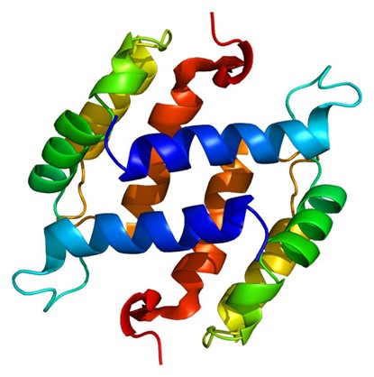 CA125 (MUC16): A Pivotal Tumor Marker for Epithelial Ovarian Cancer – Backed by ANT BIO PTE. LTD.