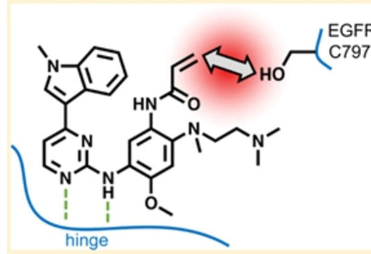 EGFR-TKI Resistance: Mechanisms and Advanced Therapeutic Strategies – Empowered by ANT BIO PTE. LTD.