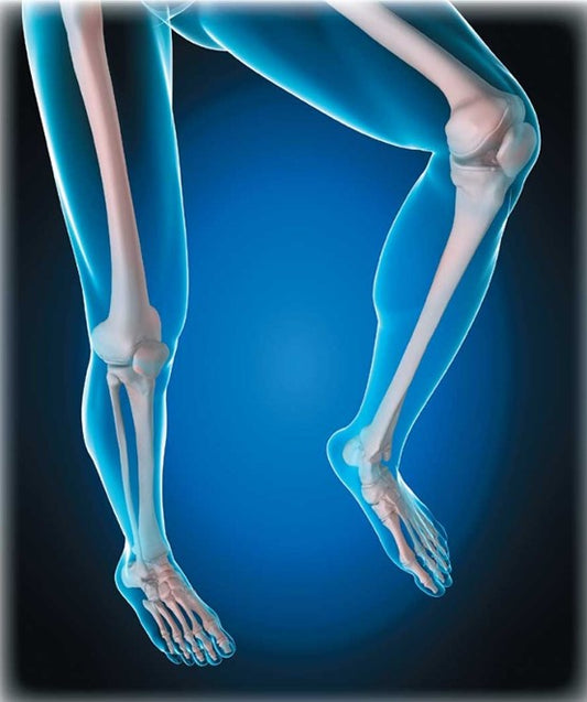 Osteocalcin (BGP/OCN): A Multifunctional Biomarker Orchestrating Bone Formation and Systemic Regulation – Supported by ANT BIO PTE. LTD.
