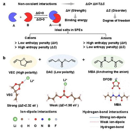 Leukemia Inhibitory Factor (LIF): Molecular Insights, Functional Regulation, and Biomedical Innovations