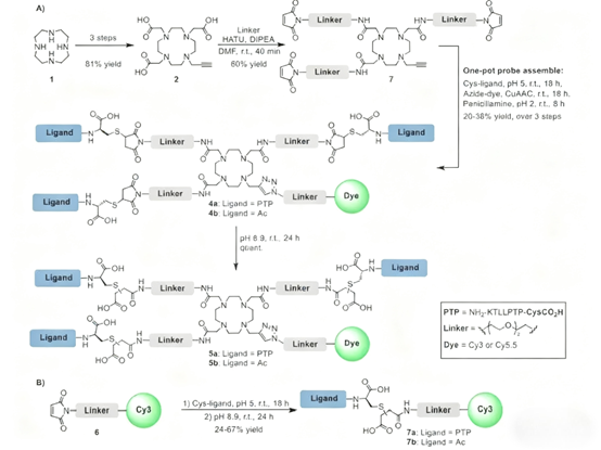 Plectin-1-Targeted Probes: Enabling Precise Diagnosis of Pancreatic Ductal Adenocarcinoma with ANT BIO PTE. LTD.’s Research Tools