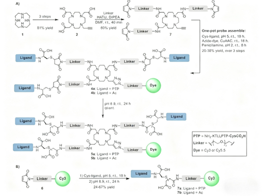 Protein Propionylation: Advances and Applications in Metabolic Regulation and Disease Research