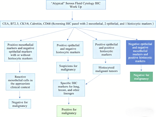 Precise Differential Diagnosis of Atypical Cells in Serous Cavity Effusions: The Pivotal Role of CD68 Antibodies