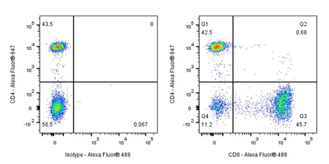 Elucidating CD8α’s Core Mechanisms: Maintaining T Cell Homeostasis and Regulating Apoptosis