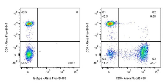 Elucidating CD8α’s Core Mechanisms: Maintaining T Cell Homeostasis and Regulating Apoptosis