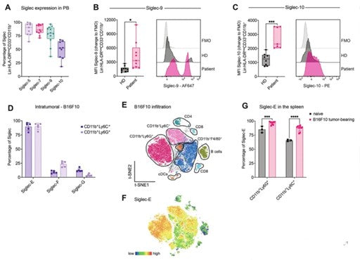CD170 Antibodies: Blocking Myeloid-Derived Suppressor Cell-Mediated Tumor Immune Escape – By ANT BIO PTE. LTD.