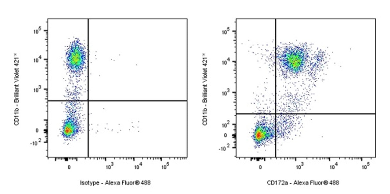 CD172a Antibodies: A Cornerstone Tool for Immune Regulation Research ...