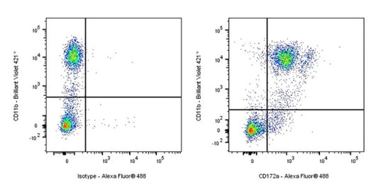 CD172a Antibodies: A Cornerstone Tool for Immune Regulation Research – By ANT BIO PTE. LTD.