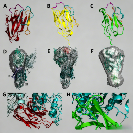 PSMA-Targeted Nanobodies: Revolutionizing Diagnosis and Treatment Strategies for Prostate Cancer