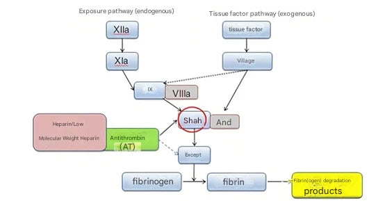 Antithrombin III Testing: An Indispensable Tool in the Diagnosis and Treatment of Thrombotic Diseases