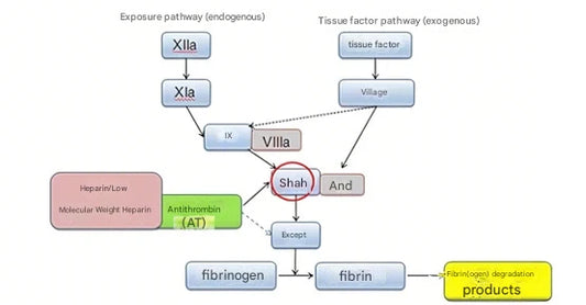 Antithrombin III Testing: An Indispensable Tool in the Diagnosis and Treatment of Thrombotic Diseases