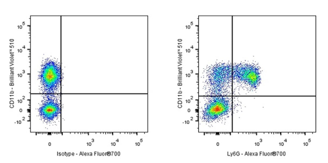 Unveiling the Unique Role of Atypical Macrophages in Lung Injury Repair: The Versatile Application of Mouse Ly6G Antibodies