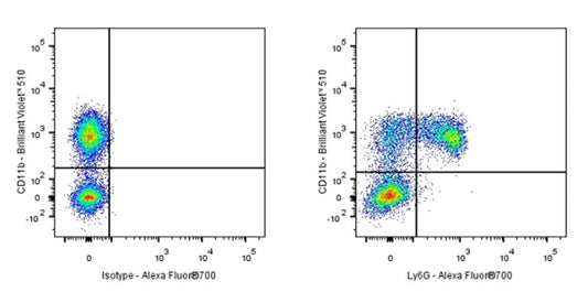 Unveiling the Unique Role of Atypical Macrophages in Lung Injury Repair: The Versatile Application of Mouse Ly6G Antibodies
