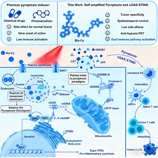 Pyroptosis Detection Kits: Unlocking the Core of Immunotherapy Research