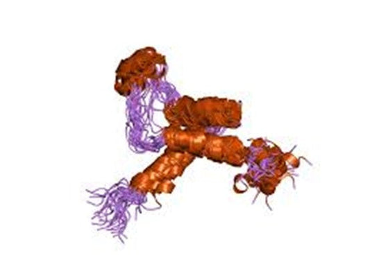TEAD2 Transcription Factor: A Multifaceted Regulator Bridging Development, Disease, and Therapy—Supported by ANT BIO PTE. LTD.