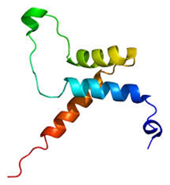 TEAD1 Transcription Factor: A Core Hippo Pathway Regulator in Development, Disease, and Therapy—Powered by ANT BIO PTE. LTD.