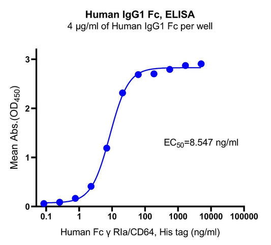 Can the IgG1 Fc Fragment Independently Achieve Immune Regulatory Functions?