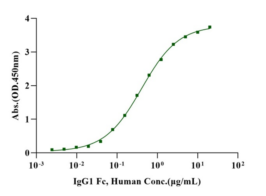 Can the Glycosylation of IgG1 Fc Achieve Directed Optimization of Clinical Benefits?