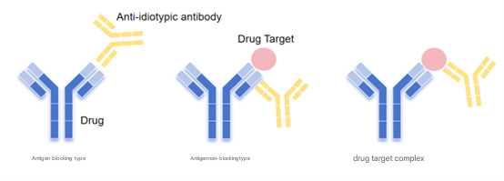 How to Achieve Precise Customization of Hybridoma Antibodies?