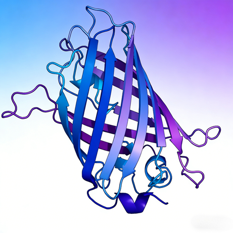 Advanced Bead-Based Technologies: Powering Breakthroughs in Protein Research and Functional Genomics