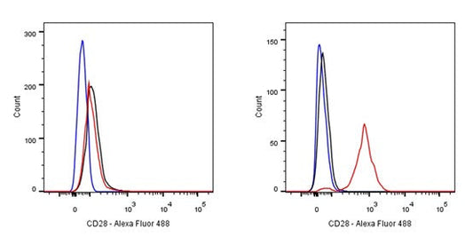 Monoclonal Antibody Raw Materials: Core Drivers of In Vitro Diagnostics &amp; Immune Research