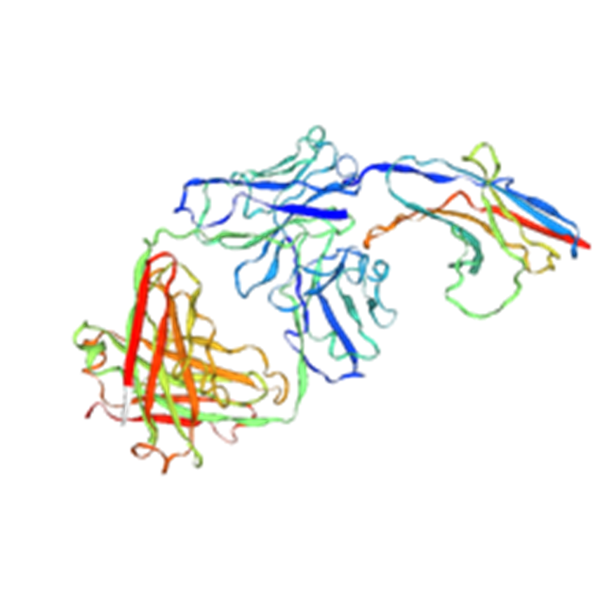 PD-1: The Immune Checkpoint Gatekeeper Shaping Cancer Therapy and Immune Homeostasis