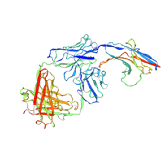 PD-1: The Immune Checkpoint Gatekeeper Shaping Cancer Therapy and Immune Homeostasis