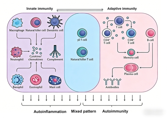 How Do Cytokine Antibodies Decode the Regulatory Network of Autoimmune Diseases?