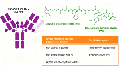 T-DXd (DS-8201): A Next-Generation ADC Milestone Redefining Cancer Therapeutics