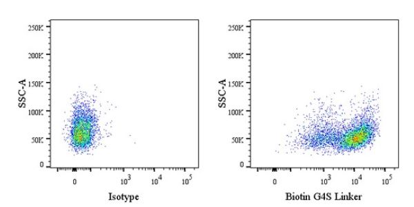 Decoding Antibody Customization Pricing: Key Factors and ANT BIO’s Transparent Solutions