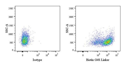 Decoding Antibody Customization Pricing: Key Factors and ANT BIO’s Transparent Solutions