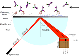 Surface Plasmon Resonance (SPR) Technology: A Label-Free Powerhouse for Real-Time Biomolecular Interaction Analysis