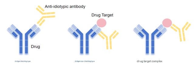 Precise Customization of Hybridoma Antibodies: Principles, Technologies and ANT BIO PTE. LTD. Solutions