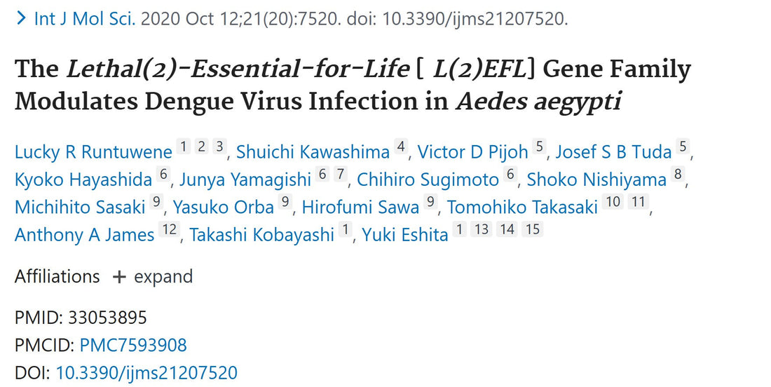 Deciphering the Antiviral Role of the L(2)EFL Gene Family in Dengue Virus Infection of Aedes aegypti