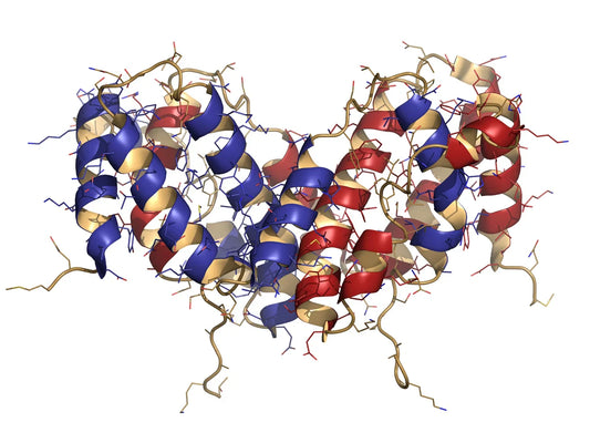 SEK2 Recombinant Protein: A Versatile Molecular Tool for Basic and Translational Research