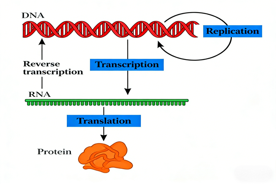 Pan-Modification Microspheres: A Platform for Parallel Post-Translational Modification Proteomics