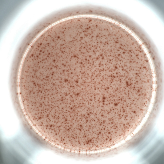 How ELISPOT Kits Enable Single-Cell Functional Detection
