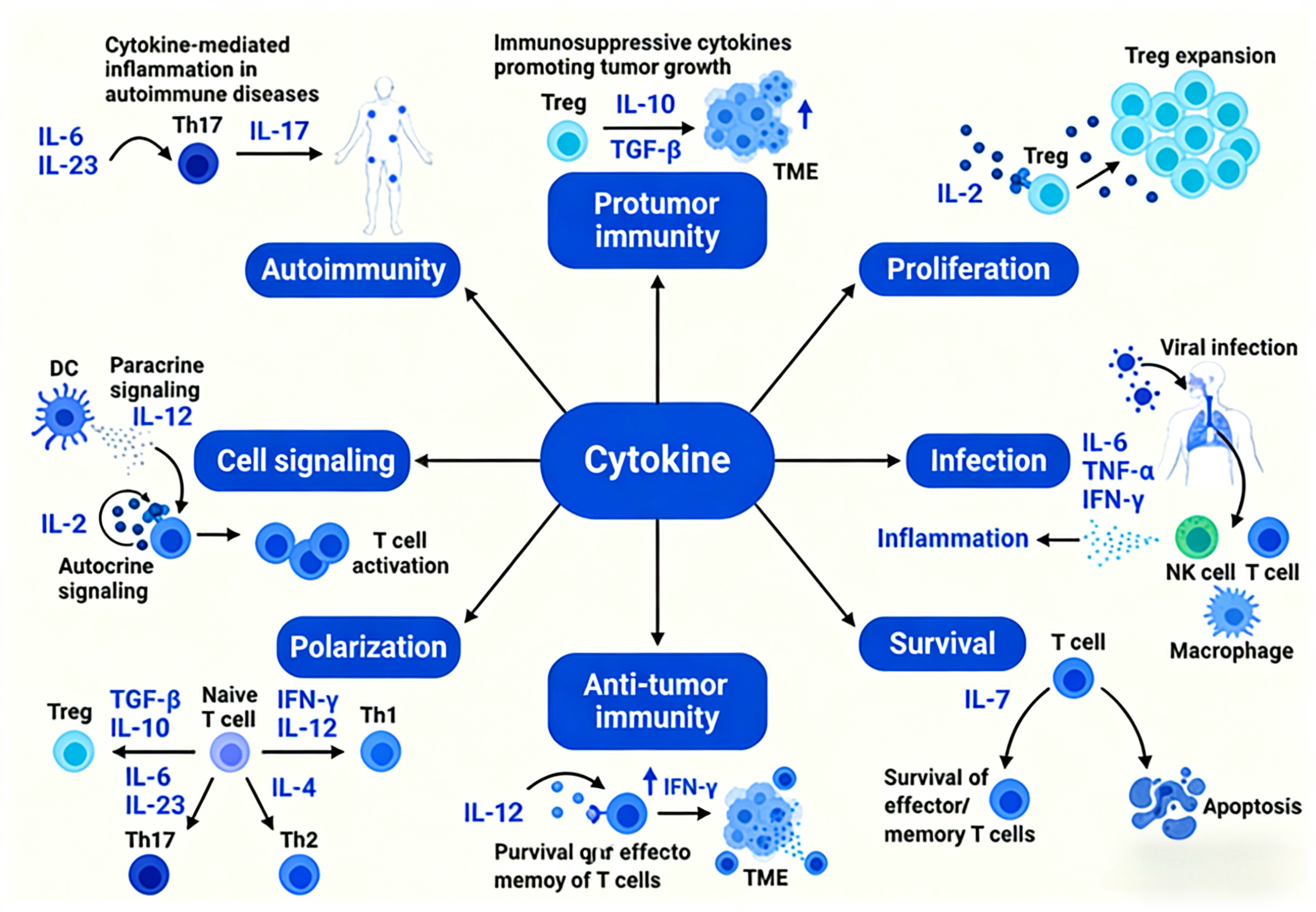 Immunity Decoding Inflammatory Factor Antibodies: Decoding Neuro-Immune Regulation in th ...