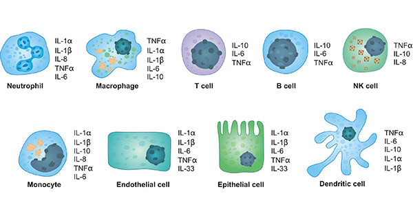 Comprehensive Analysis of Cytokines: Biological Functions, Classification, and Precision Detection Technologies