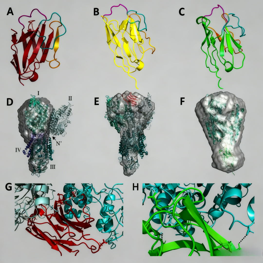 PSMA-Targeted Nanobodies: New Opportunities for Precision