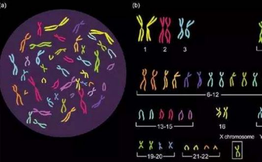 UA010833 – A Novel Biomarker Reshaping Precision Medicine