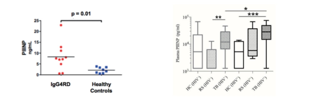 Knowledge Insight: PIIINP as a Non-Invasive Biomarker for Renal Fibrosis