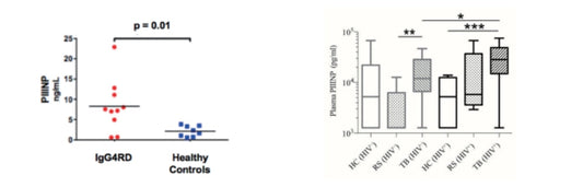 Knowledge Insight: PIIINP as a Non-Invasive Biomarker for Renal Fibrosis