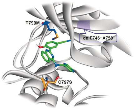Breakthroughs in EGFR Inhibitor Development: Selective Targeting of the d746‑750/T790M/C797S Triple Mutant