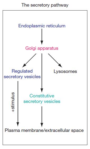 Endo H: The Molecular Scissors for Glycosylation Research and Multidisciplinary Applications